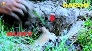 MILLION THANK TEAM CAMERA MAN BRING BABY BARON TO RURY ...HOW MOM BRIANNA CRY FOUND HER BABY BARON |