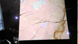 sofitel gold marble sample