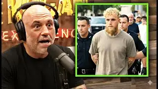 Joe Rogan LOSES IT After Jake Paul ARRESTED for FAKE Boxing Fights!