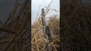 Working spoonies! #waterfowlhunting #hunting #duckhunting #spoonies #spoonie