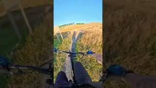 Crocodile MTB | Top to Bottom