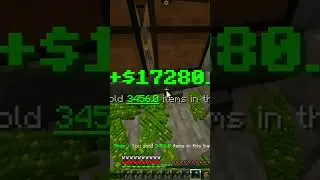 Selling fast in mcfleet server #gamerfleet #minecraft #mcfleet