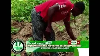 #agriculture the way forward for #nigeria  @greennigeriaradioshow #meshach Yager #gnrs