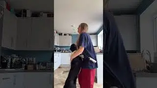 Affectionate Dog Embraces Owner, Displaying Love and Connection#DogLove #PetAffection