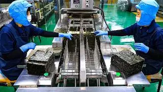 何億枚もの「海苔」はこうして作られる：巨大工場の裏側と製造工程の全貌