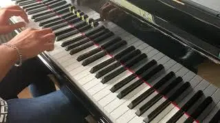 Majnoon - Marzieh - Bijan Mortazavi - Persian Music Piano Cover by Ali Behnam مجنون - مرضیه -