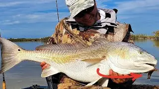 Top 3 Shrimp Lures for Fall & Winter Fishing