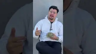 Calvinista evangeliza? a l&oacute;gica do calvinista evangelizando 😂#teologiareformada #palavradeDeus
