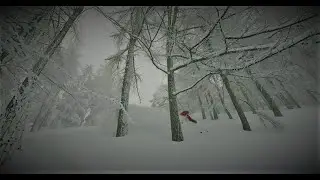 MONDOLE SKI PRATO NEVOSO ARTESINA FRABOSA - La Baldoria -  2021 first run freeride ski