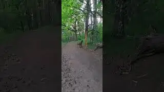 7 июня 2024 г.