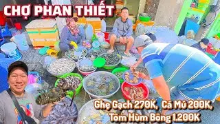 Chợ Phan Thiết - Lâm Đồng, Hải Sản Tươi Sống Giá Rẻ Đầu Năm 2026 Có Gì?