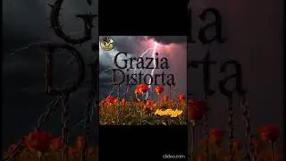 GRAZIA DISTORTA   KenRoby DJ SHORT #KenRobyDJ #DistroKid #GraziaDistorta