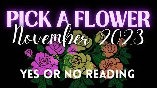 PICK A FLOWER YES OR NO READING🌹 They love me, they love me not!?