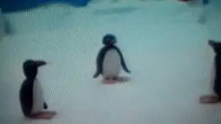 pingu norsk dubb