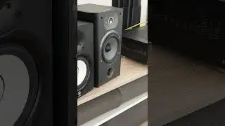 Studio monitor or HiFi speaker ? ? ?