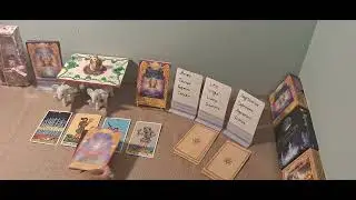 January Taro Message According To 12 Zodiac signs 