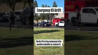 Heroic Rescue of Injured K9 During Emergency Mission