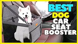 Top 5 Best Dog Booster Car Seat For Small Dogs On Amazon In 2023