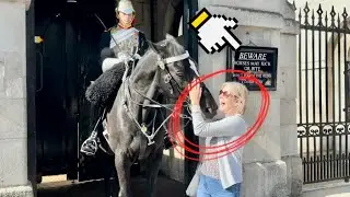 SILLY TOURIST PROVOKED THE WRONG HORSE