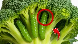 Знаете ли вы, что брокколи скрывает грязь? Вот как её очистить.