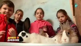 Dečiji TV dnevnik Simon - Zečevi