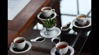 In search of Ceylon tea