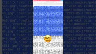 JSON Viewer - ekstensi chrome agar JSON di browser terlihat rapi