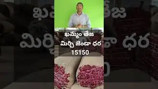 #వరంగల్ మార్కెట్ ధరలుTODAY(20/08/2025 ) #WARANGAL MARKET🌶️🌶️CHILLIES RATES*