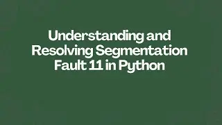Understanding and Resolving Segmentation Fault 11 in Python