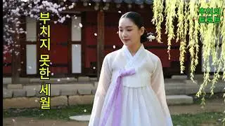 우리들의 눈부셨던 청춘에게 바치는 노래 #인생트로트 #감성트로트 #최신트로트신곡#발라드#트로트모음#5060트 #한국가요 #트로트연속듣기 #7080트로트#케이팝#정통트로트#추억의노래