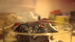 Forrest the Ladybird