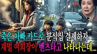 죽은 아빠 카드로 분식집 결제하자 재벌 여회장이 벤츠 타고 나타나는데...ㅣ인생사연ㅣ감동사연ㅣ노후사연ㅣ실화이야기ㅣ인생역전ㅣ가족이야기ㅣ라디오드라마ㅣ