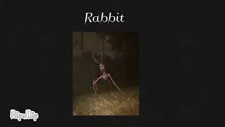 Animals That Got Infected By The Virus Of Unnatural Habitat Part 2 (ft. Zoochosis Animals)