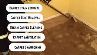 Professional Carpet Cleaning Service In Sunshine Coast | Carpet Steam Cleaning | Back 2 New Cleaning