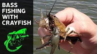 Bass Fishing with Crayfish