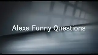 Alexa Funny Questions