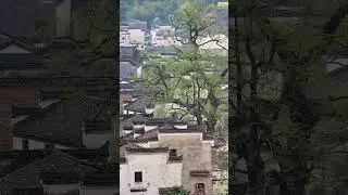 A moment in a rural area of China 263 🇨🇳 | Real Life in China shorts