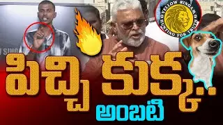 పిచ్చి కుక్క అంబటి | Serious Reaction on Ambati Rambabu Comments | Yellow Singam