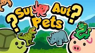 Which pets have the highest stats!?