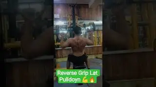 Reverse Grip Lat Pulldown 🔥Back Mein Aag💪#shorts #bodybuilding #fitness #song #motivation #viral