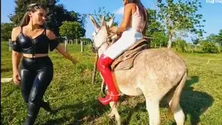 Best Donkey riding new video please subscribe #highlights #viralvideo #donkey
