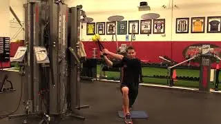 Half Kneel Inline Chop