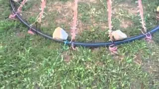 Мега-дерево со звездой