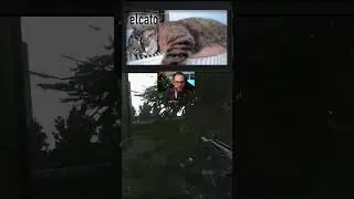 elcato just dropped 🐈 #escapefromtarkov #tarkov