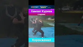 Хамзат Куриев и Александр Хоронженко устроили дружеский спарринг.