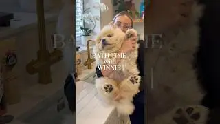 Bath time with our puppy Winnie 🤠 #chowpuppy #puppy #chowchow #cutedog