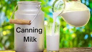 Canning milk ( Not USDA approved)