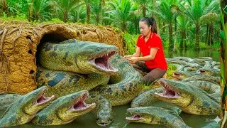 Harvesting Thousands Swamp Monster Eel & Goes to Sell at the Market | Recipe eel trapping formula.