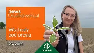 Buraki cukrowe – aktualna sytuacja na plantacjach i wyzwania w uprawie