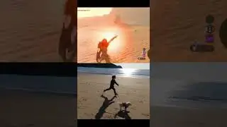 Video Games vs Real Life | Sand Seal vs Dog | The Legend of Zelda Breath of the Wild